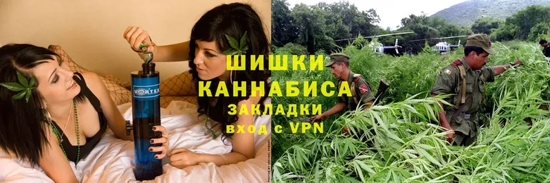 МЕГА зеркало  наркошоп  Козловка  Конопля SATIVA & INDICA 